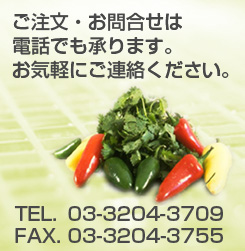 トックブランシュ電話